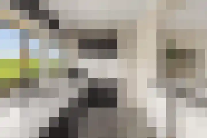 Speenhoffstraat 67 Krimpen aan de Lek thumbnail 4