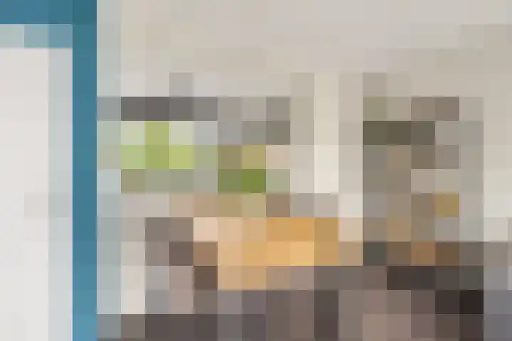 Speenhoffstraat 67 Krimpen aan de Lek thumbnail 5