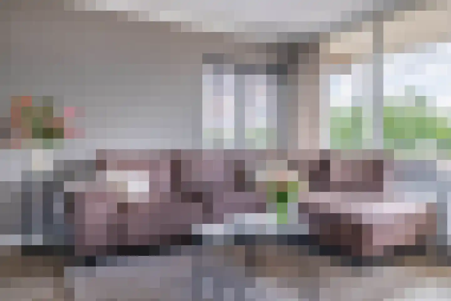 Speenhoffstraat 71 Krimpen aan de Lek thumbnail 16