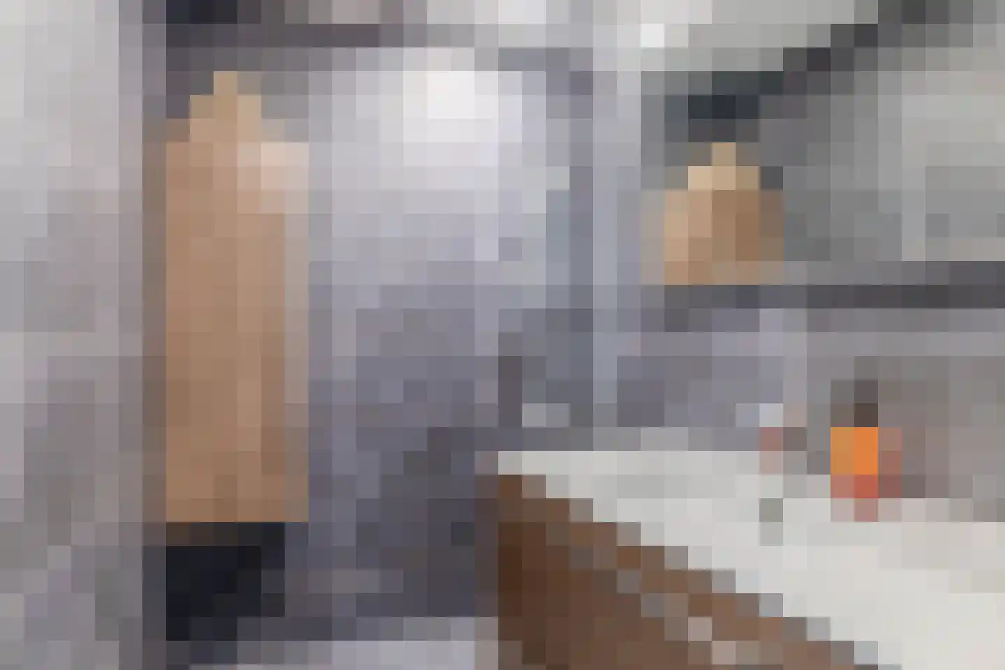 Speenhoffstraat 71 Krimpen aan de Lek thumbnail 31