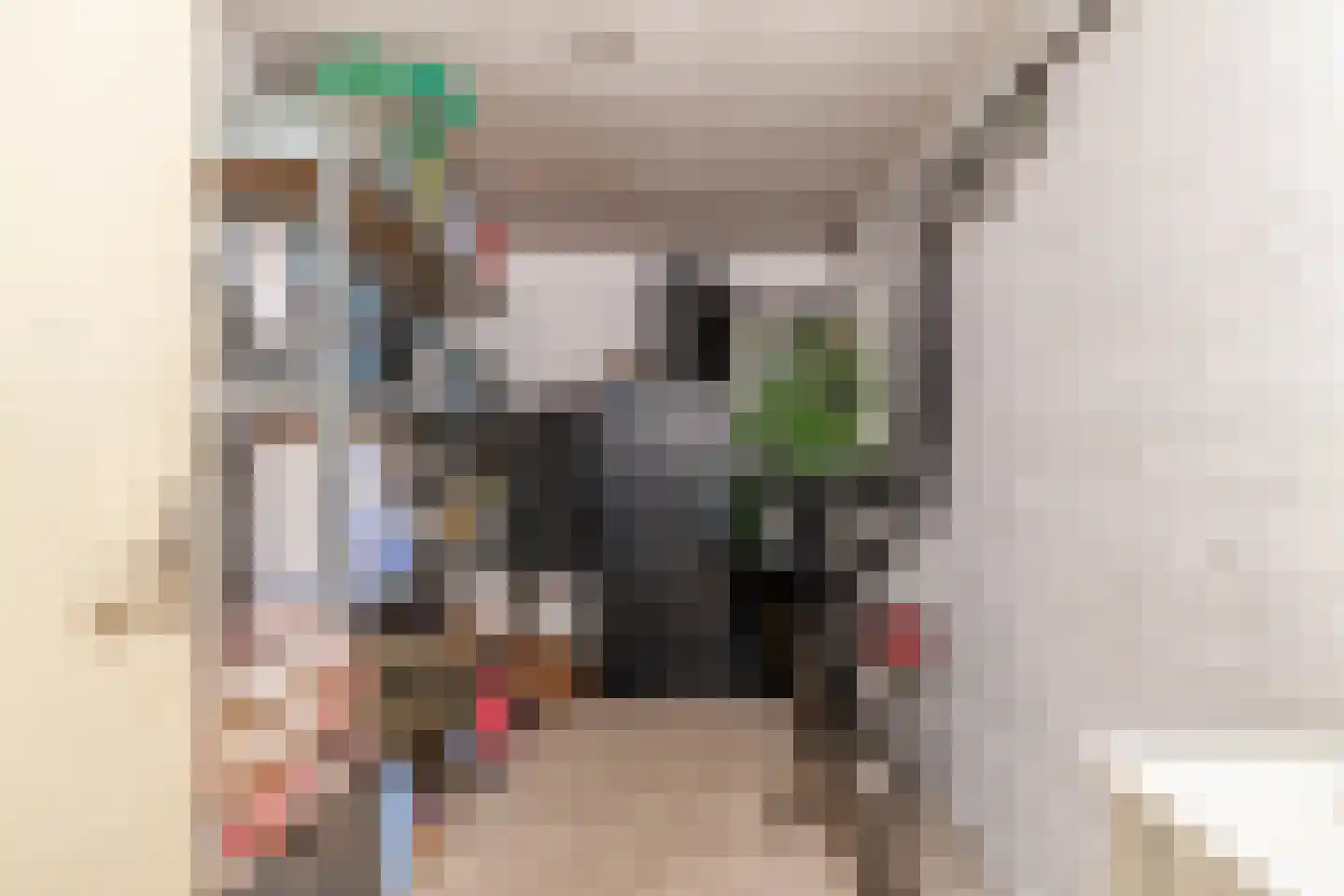 Speenhoffstraat 71 Krimpen aan de Lek thumbnail 39