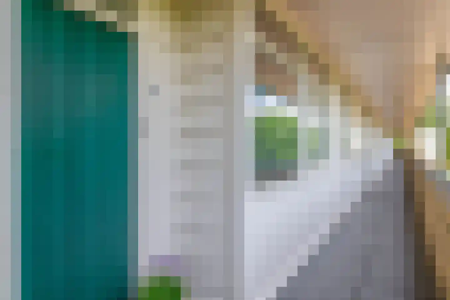 Speenhoffstraat 71 Krimpen aan de Lek thumbnail 7