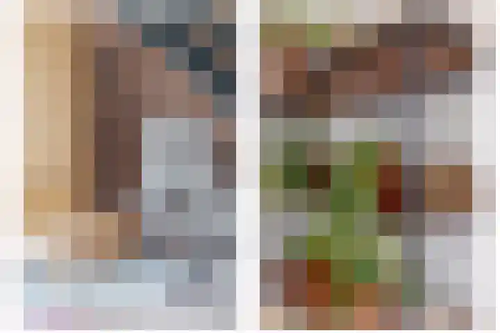 Speenhoffstraat 9 Krimpen aan de Lek thumbnail 11