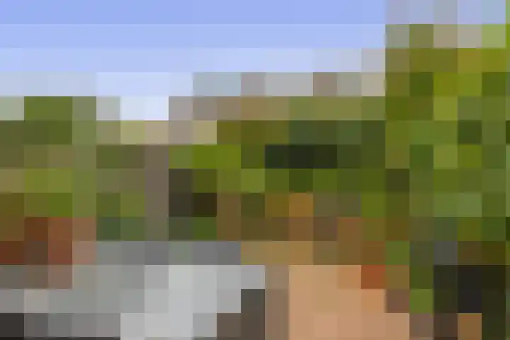 Speenhoffstraat 9 Krimpen aan de Lek thumbnail 19