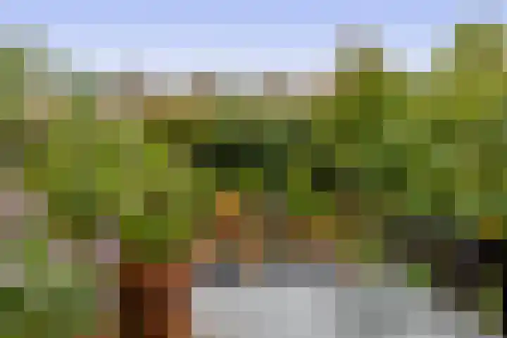 Speenhoffstraat 9 Krimpen aan de Lek thumbnail 20
