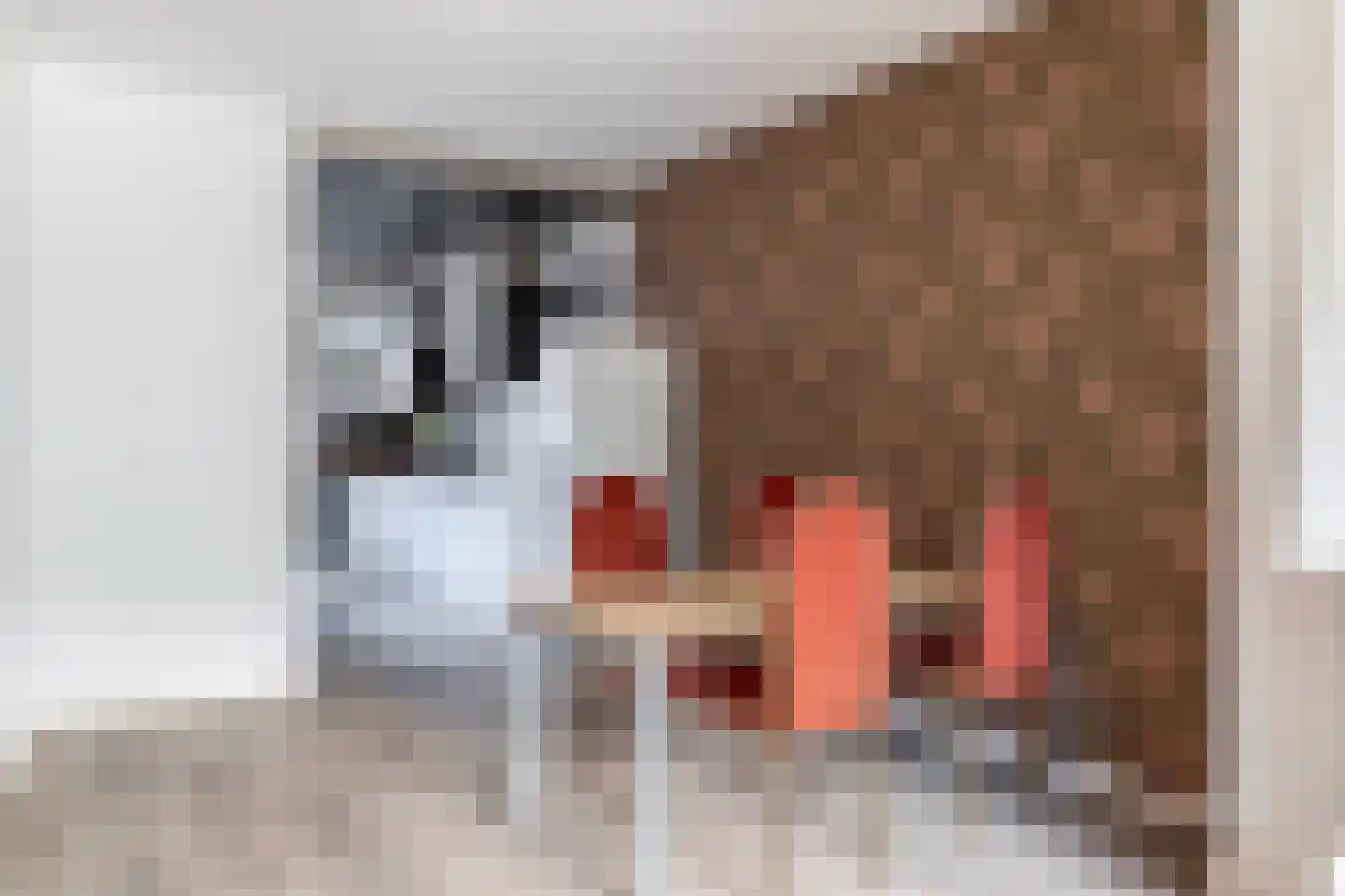 Speenhoffstraat 9 Krimpen aan de Lek thumbnail 24