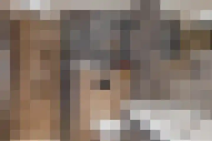 Speenhoffstraat 9 Krimpen aan de Lek thumbnail 26