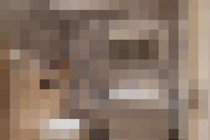 Speenhoffstraat 9 Krimpen aan de Lek thumbnail 27