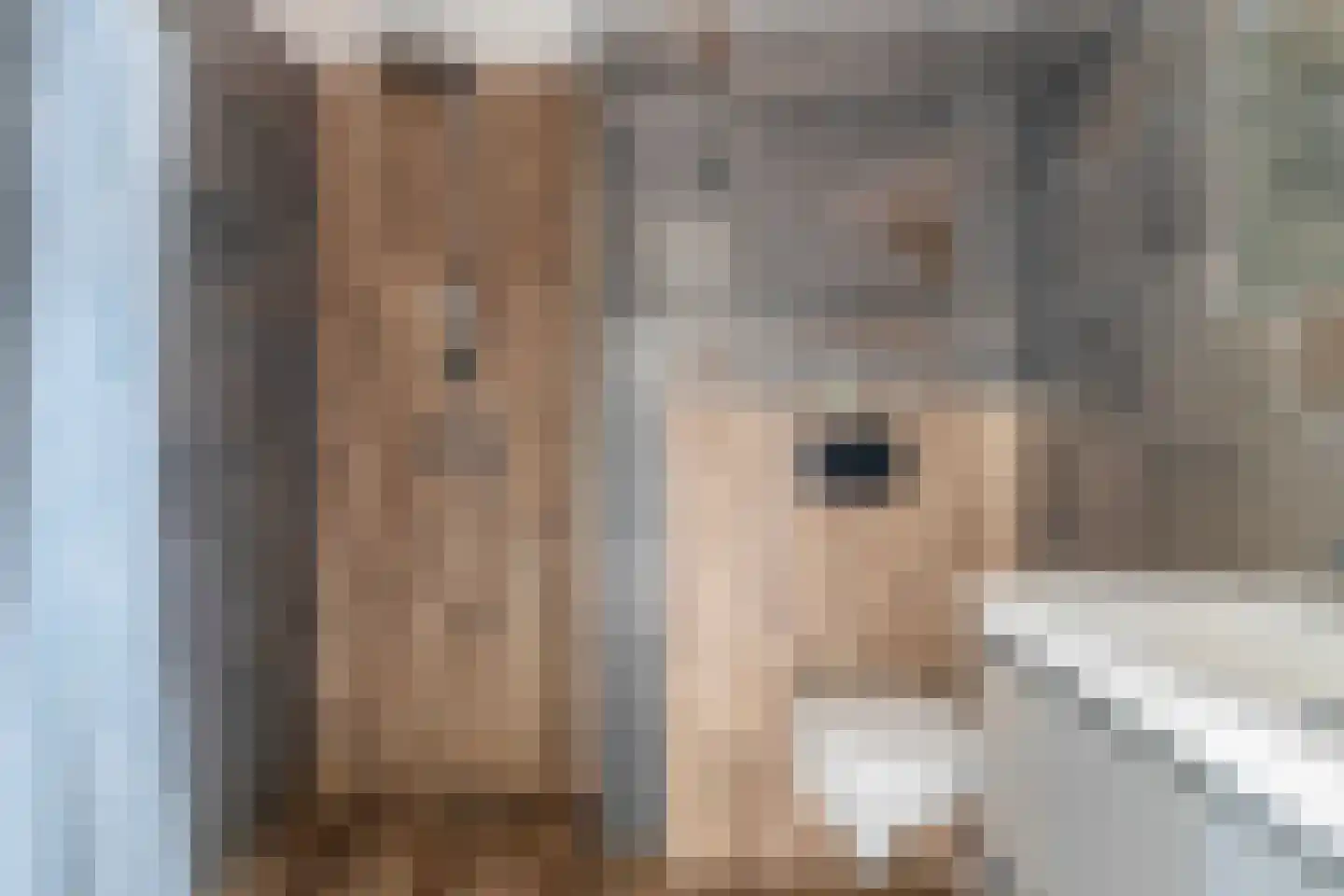 Speenhoffstraat 9 Krimpen aan de Lek thumbnail 28