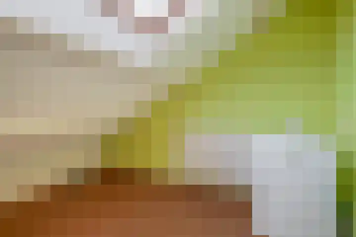 Speenhoffstraat 9 Krimpen aan de Lek thumbnail 33