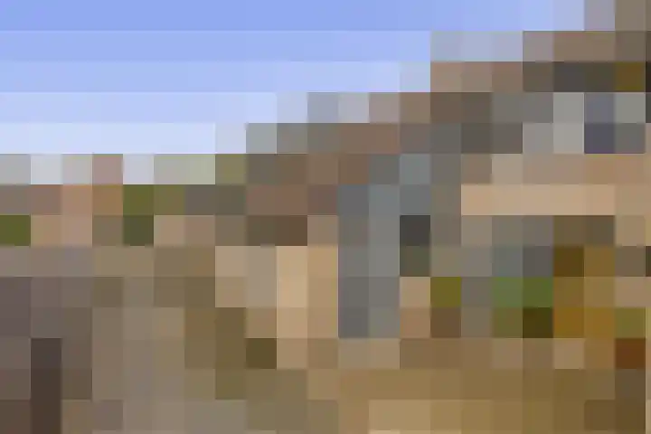 Speenhoffstraat 9 Krimpen aan de Lek thumbnail 5