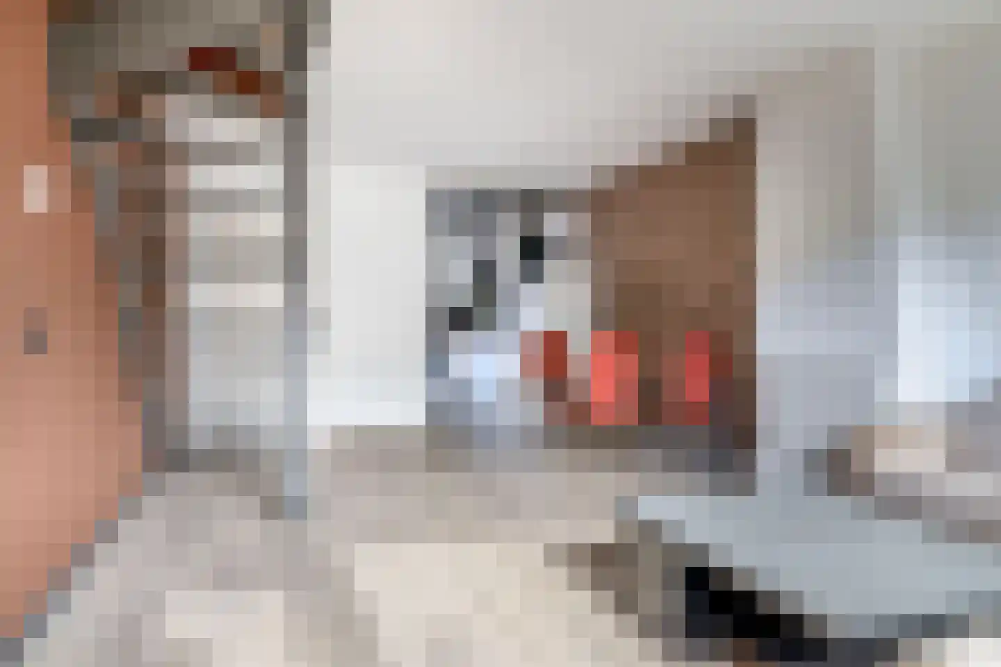 Speenhoffstraat 9 Krimpen aan de Lek thumbnail 7