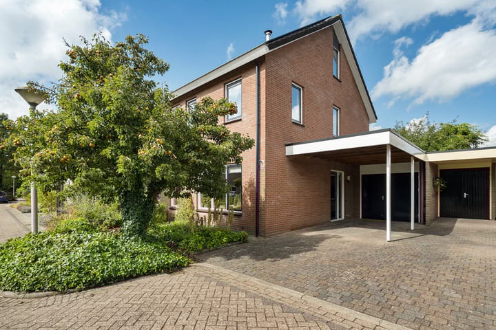 Speenkruid 10 in Delden Foto