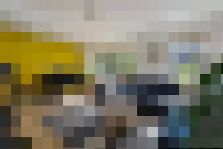 Speenkruid 10 Delden thumbnail 10