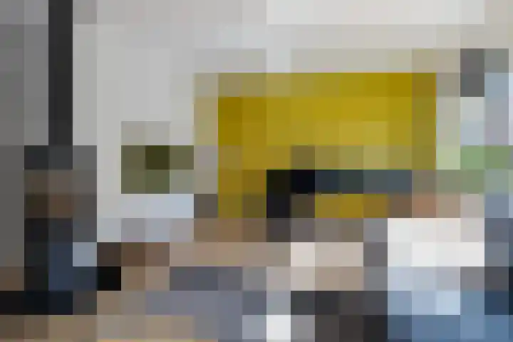 Speenkruid 10 Delden thumbnail 11