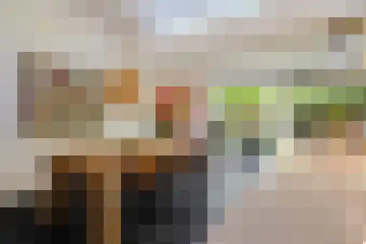Speenkruid 10 Delden thumbnail 20
