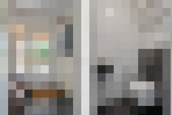 Speenkruid 10 Delden thumbnail 21