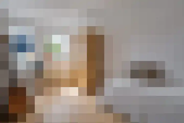 Speenkruid 10 Delden thumbnail 23