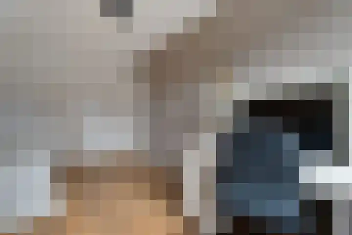 Speenkruid 10 Delden thumbnail 25