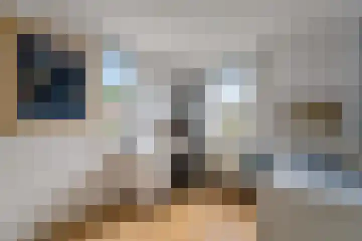 Speenkruid 10 Delden thumbnail 27