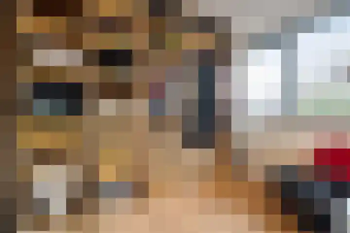 Speenkruid 10 Delden thumbnail 29