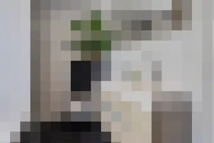 Speenkruid 10 Delden thumbnail 31