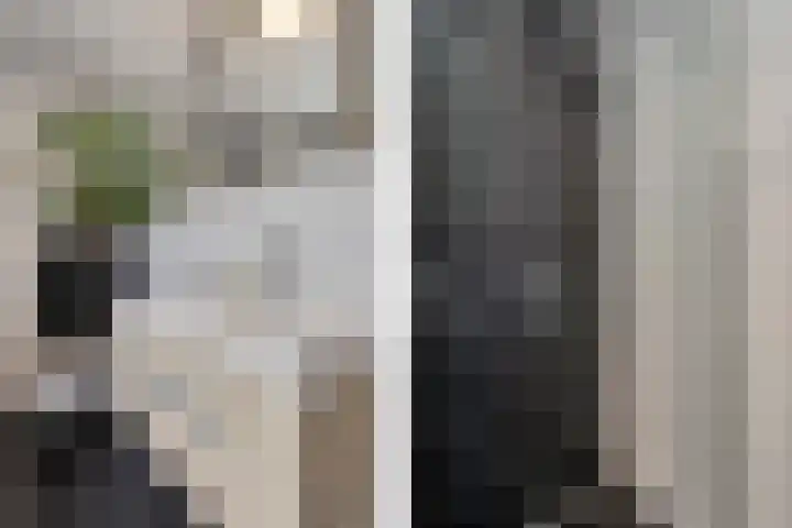 Speenkruid 10 Delden thumbnail 32
