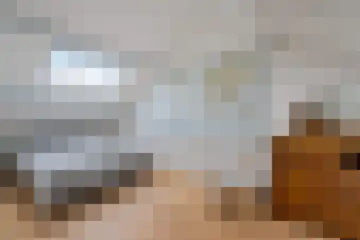 Speenkruid 10 Delden thumbnail 36