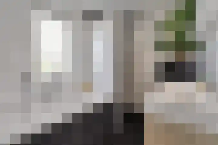 Speenkruid 10 Delden thumbnail 4