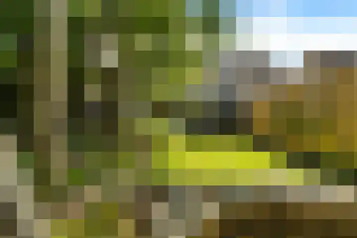 Speenkruid 10 Delden thumbnail 44