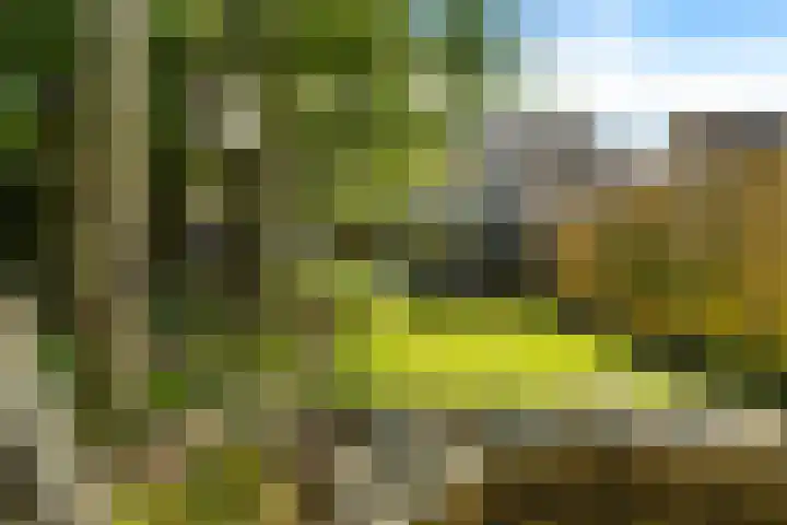 Speenkruid 10 Delden thumbnail 6