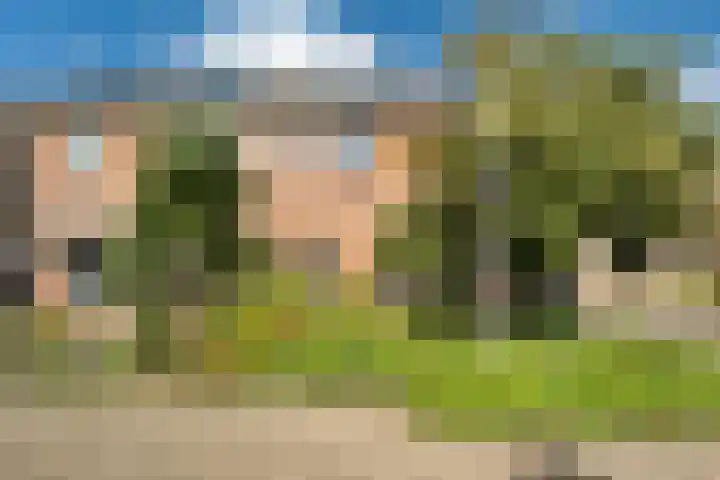 Speenkruid 10 Delden thumbnail 8