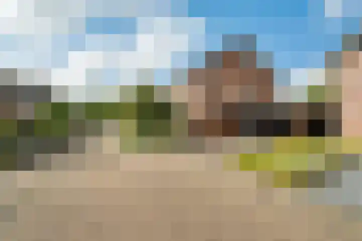 Speenkruid 10 Delden thumbnail 9