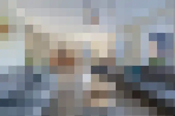 Speenkruid 10 Drachten thumbnail 11