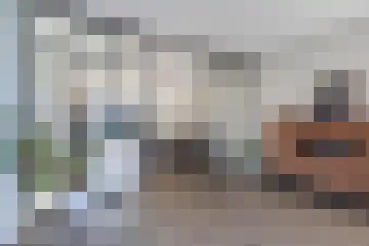 Speenkruid 10 Drachten thumbnail 13