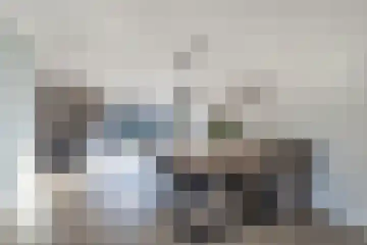 Speenkruid 10 Drachten thumbnail 14