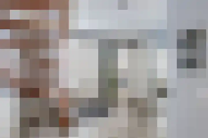 Speenkruid 10 Drachten thumbnail 21
