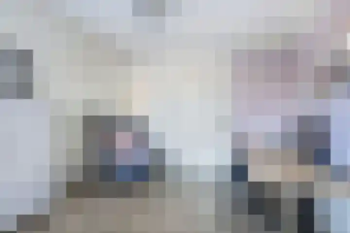 Speenkruid 10 Drachten thumbnail 23