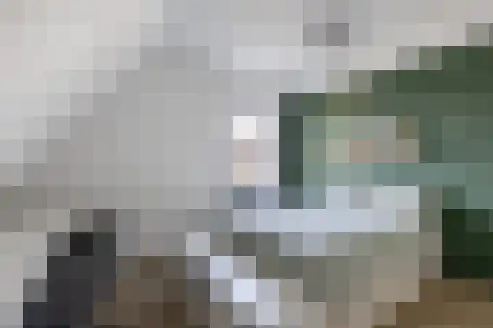 Speenkruid 10 Drachten thumbnail 27