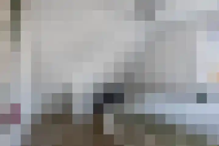 Speenkruid 10 Drachten thumbnail 28
