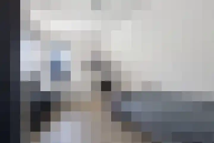 Speenkruid 10 Drachten thumbnail 29