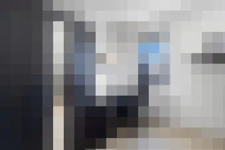 Speenkruid 10 Drachten thumbnail 30