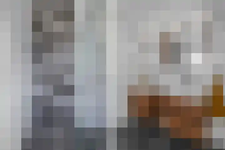 Speenkruid 10 Drachten thumbnail 32