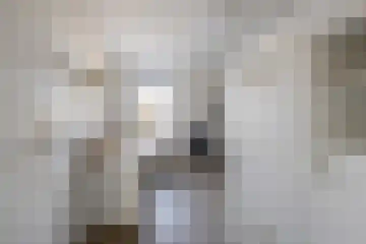 Speenkruid 10 Drachten thumbnail 33