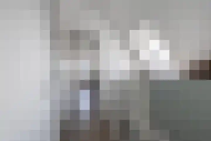 Speenkruid 10 Drachten thumbnail 36