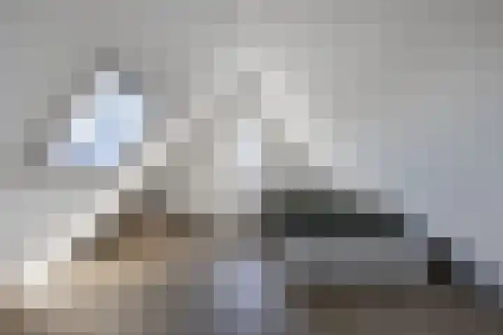 Speenkruid 10 Drachten thumbnail 37