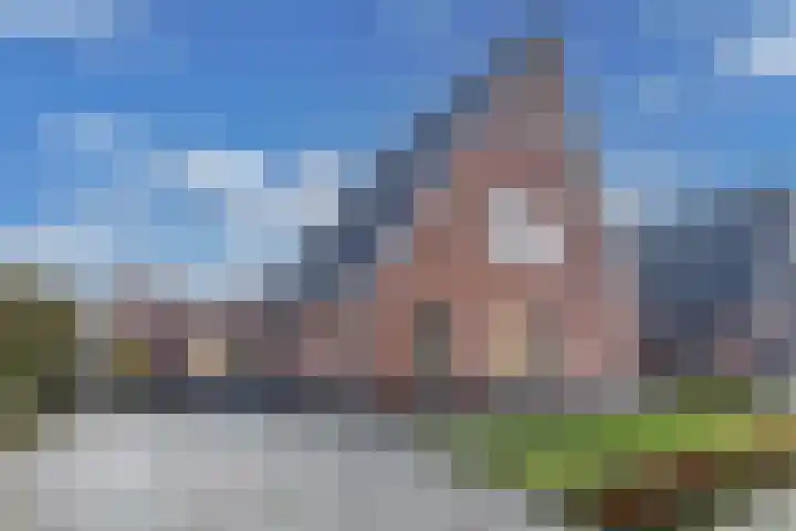Speenkruid 10 Drachten thumbnail 4