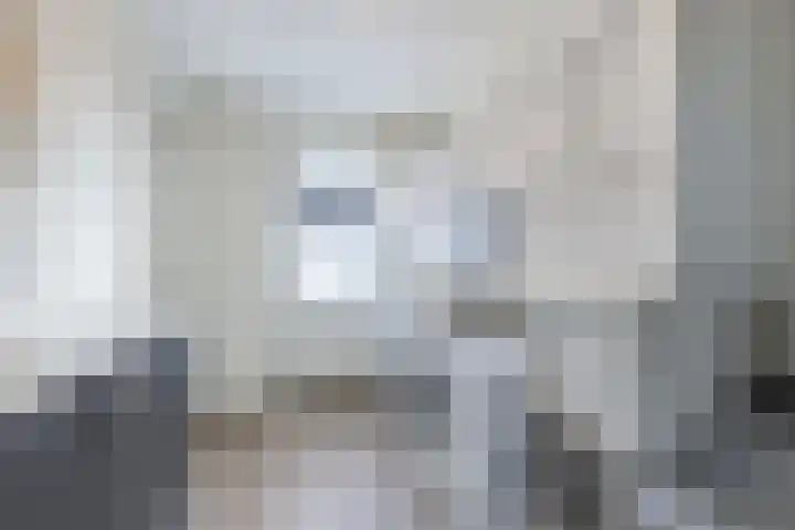 Speenkruid 10 Drachten thumbnail 40