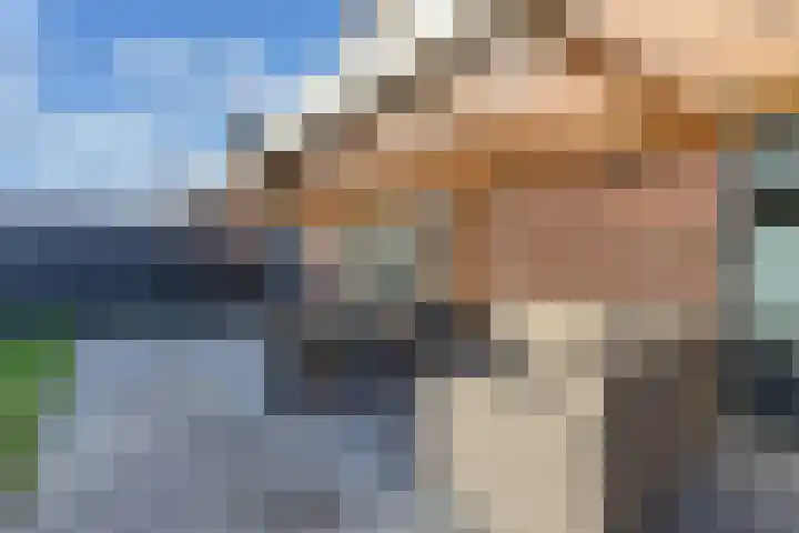 Speenkruid 10 Drachten thumbnail 41
