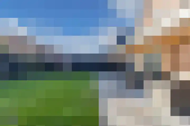 Speenkruid 10 Drachten thumbnail 43